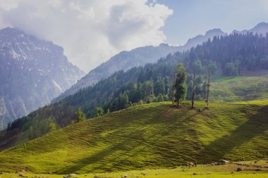 Sonamarg, Kaşmir, Vadisi