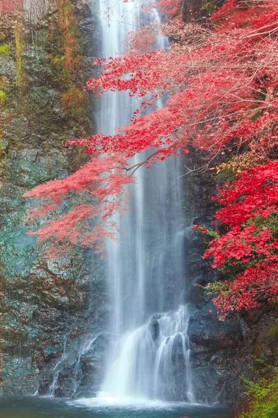 Waterfall in Autumn — Stock Photo, Image