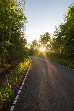 Güneşin ile ormanda yol