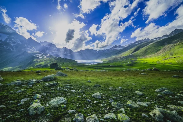 Prato verde vicino al fiume nel bosco — Foto Stock