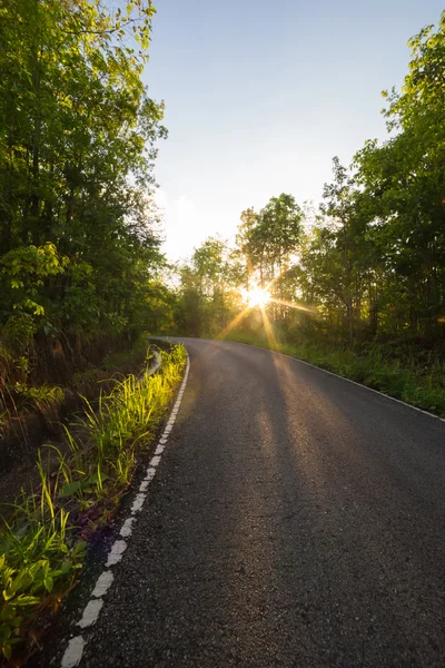 Cesta v lese s slunce za — Stock fotografie