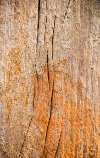 Gammal trästruktur — Stockfoto