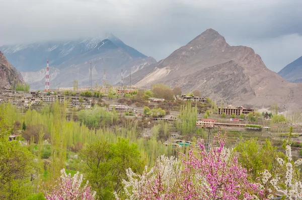 Hunza vallei met bloesem in Pakistan — Stockfoto