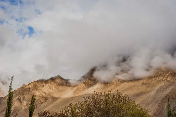 Pico de montaña —  Fotos de Stock