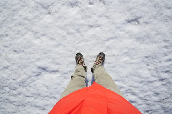 Staande op sneeuw — Stockfoto