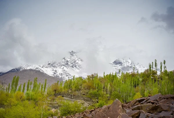 Idyllic Mountain Valley — Stock Photo, Image