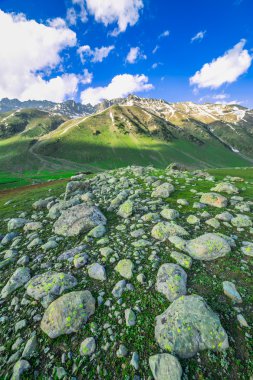 yeşil tepeler ve mavi gökyüzü