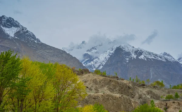 Idyllic Mountain Valley — Stock Photo, Image