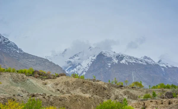 목가적인 산 골짜기 — 스톡 사진