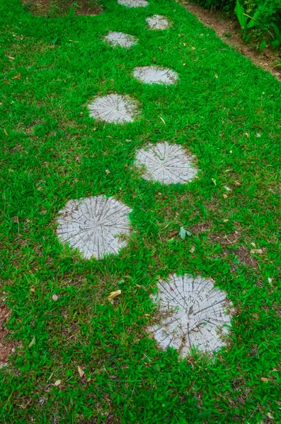 Tuiles anciennes sur le trottoir avec des plantes dans les joints — Photo