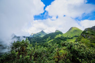 Sabah sis yağmur ormanlarında