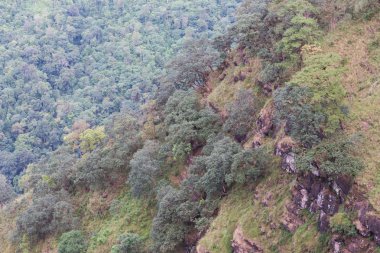 Dağlarda yaz manzarası