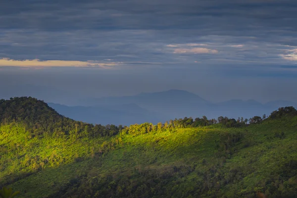 Paisagem de verão nas montanhas — Fotografia de Stock