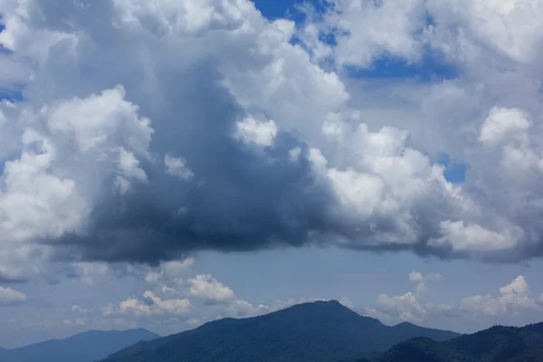 森の空中風景 — ストック写真