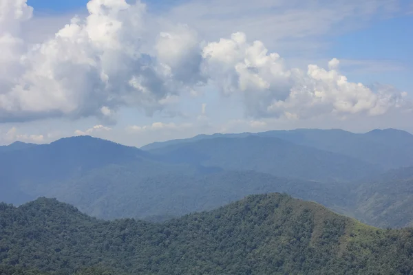 Vista aérea da floresta — Fotografia de Stock