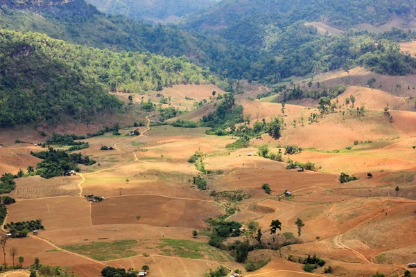 Zerstörung des Regenwaldes in Thailand aus der Luft — Stockfoto