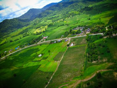 Kırsal bölgenin havadan görünüşü