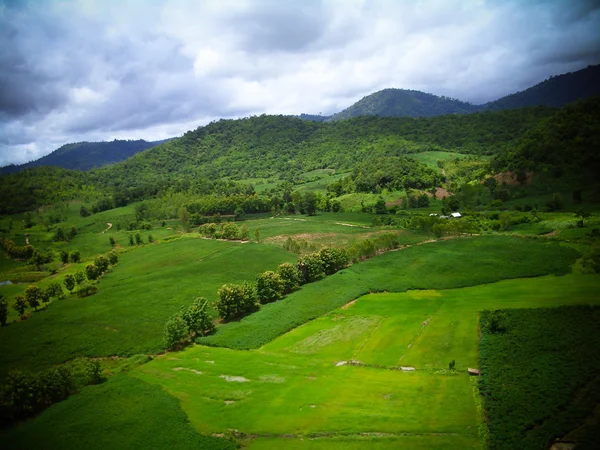 Kırsal bölgenin havadan görünüşü — Stok fotoğraf
