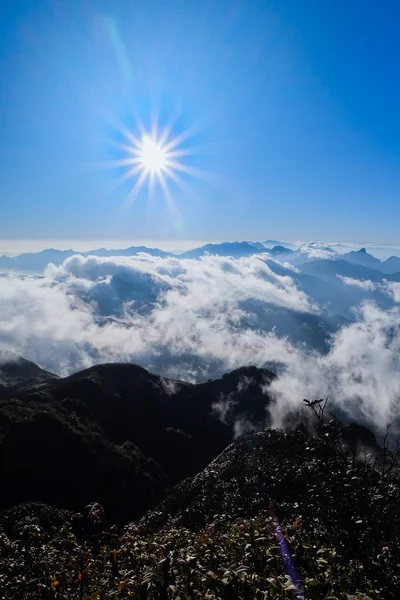 观云海从高山 — 图库照片