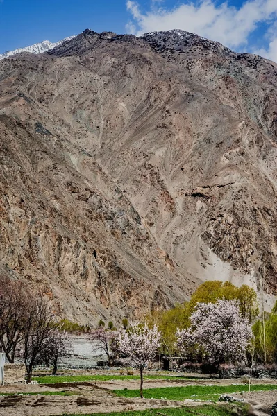 Skardu Valley, Pakistan — Stock Photo, Image