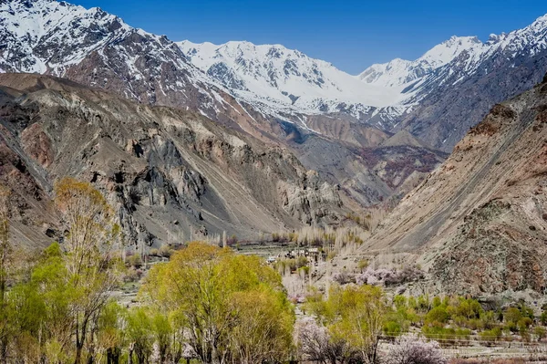 Skardu-vallei, Pakistan — Stockfoto