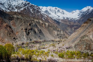 Skardu Vadisi