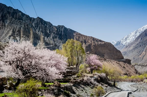 Skardu-Tal — Stockfoto