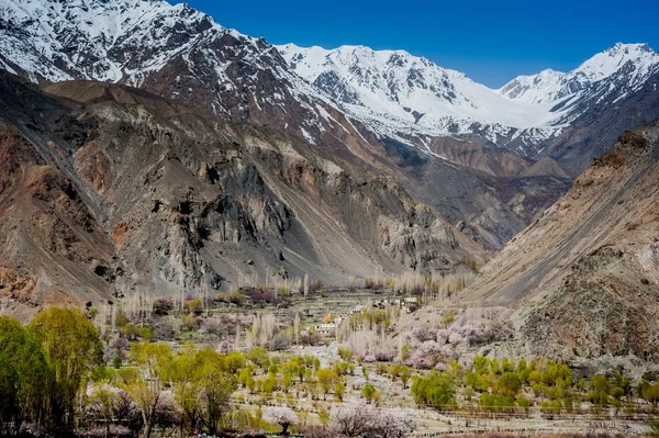 Skardu-dalen - Stock-foto