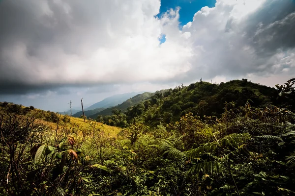 Summer landscape in the mountains — Stock Photo, Image