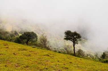 Dağlarda gün batımı manzarası