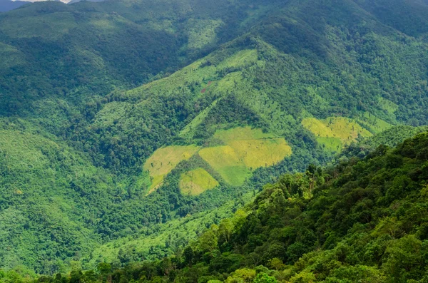 山の風景の中で — ストック写真