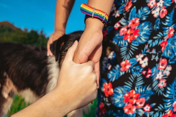 Hände Eines Gleichgeschlechtlichen Paares Streicheln Ihr Haustier — Stockfoto