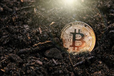 Altın Bitcoin madenciliği. Kripto para birimleri kavramı