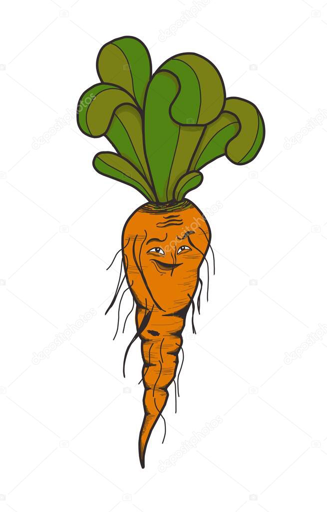 Mandrake character. Root with face. The magic root vegetable. Isolated on white.