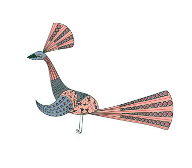 Beyaz arka planda tavus kuşu renginde. Güzel kuyruklu bir kuş. Muhteşem sihirli kuş..