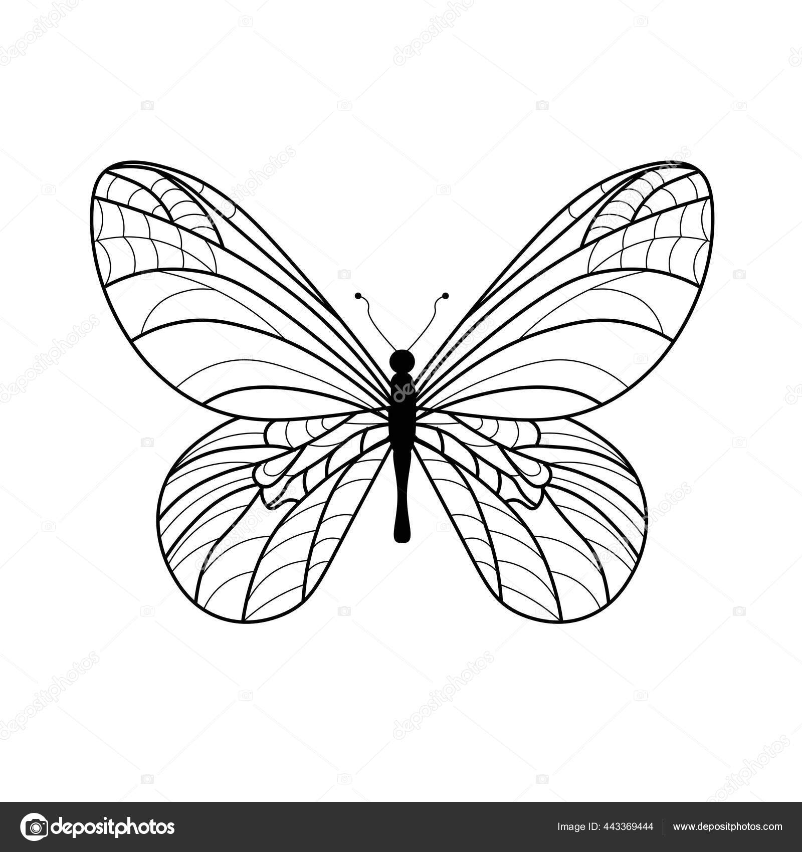 Livre Coloriage Papillon Dessin Lineaire Papillon Image Vectorielle Par Bosonya2 C Illustration