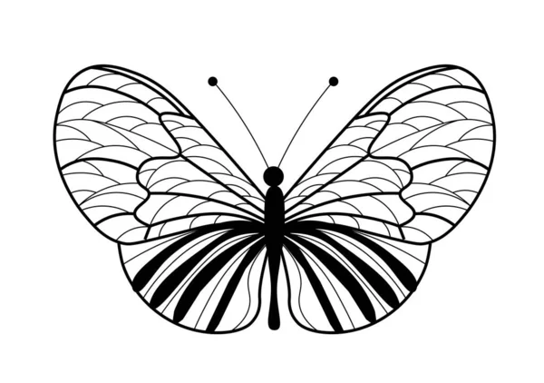 Motýlí Omalovánky Lineární Kresba Motýla — Stockový vektor