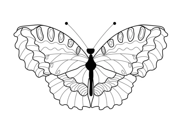 Schmetterling Malbuch Lineare Zeichnung Eines Schmetterlings — Stockvektor