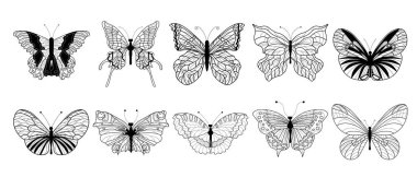 Kelebekler hazır. İzole edilmiş beyaz bir arkaplanda kelebekler çizilmiş. Kanatlar. vektör illüstrasyonu.