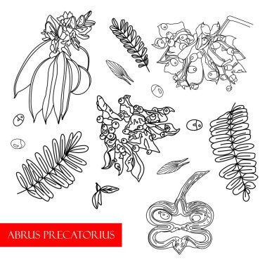 Tedavi tesisi. Ethnoscience Vektör İllüstrasyon Alternatif Tıp