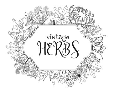 Şifalı bitkilerle dolu bir şablon kartı. Vektör şablonu. Vahşi tıbbi bitkiler. Retro çiçekler. El çizimi çizimi. İşleme stili. Botanik illüstrasyon. Eczane bitkileri etiketi. Taze yerel organi