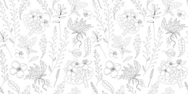 Basit narin çiçek deseni. İnce çizgiler. Yaz kumaşı, tekstil ve ambalaj tasarımı. Şifalı bitkiler ve kır çiçekleri. Antika bitkiler. Vektör botanik çizimi.