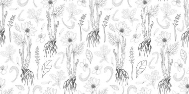 Basit narin çiçek deseni. İnce çizgiler. Yaz kumaşı, tekstil ve ambalaj tasarımı. Şifalı bitkiler ve kır çiçekleri. Antika bitkiler. Vektör botanik çizimi.