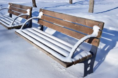 Beyaz kış karıyla kaplı bank, karlı park ve ağaçlarla