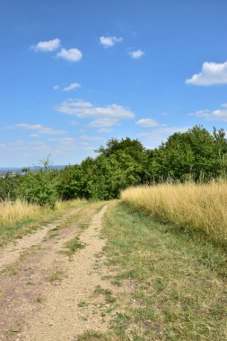 Ağacı ve mavi gökyüzü olan güzel bir manzara.
