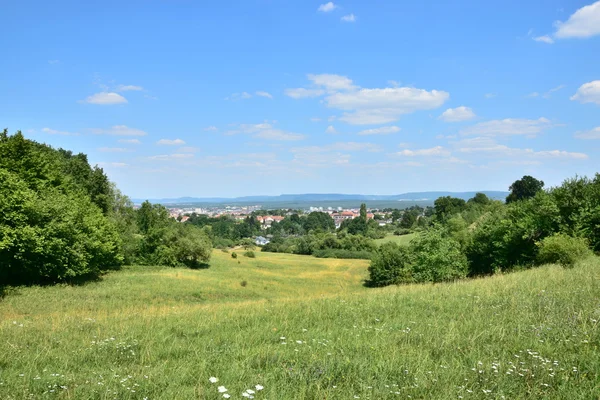 Vista Del Hermoso Paisaje Verano —  Fotos de Stock