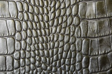 Timsah Cilt deri dokusunu