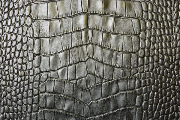 Crocodile Texture Peau Fond — Photo