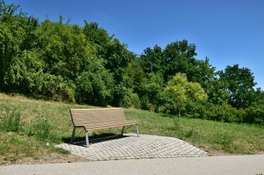 Tahta sandalyeli güzel yeşil bir ormanda bank