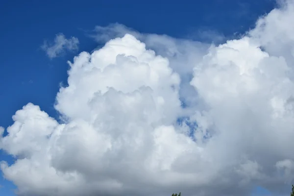 Awan Langit Biru — Stok Foto